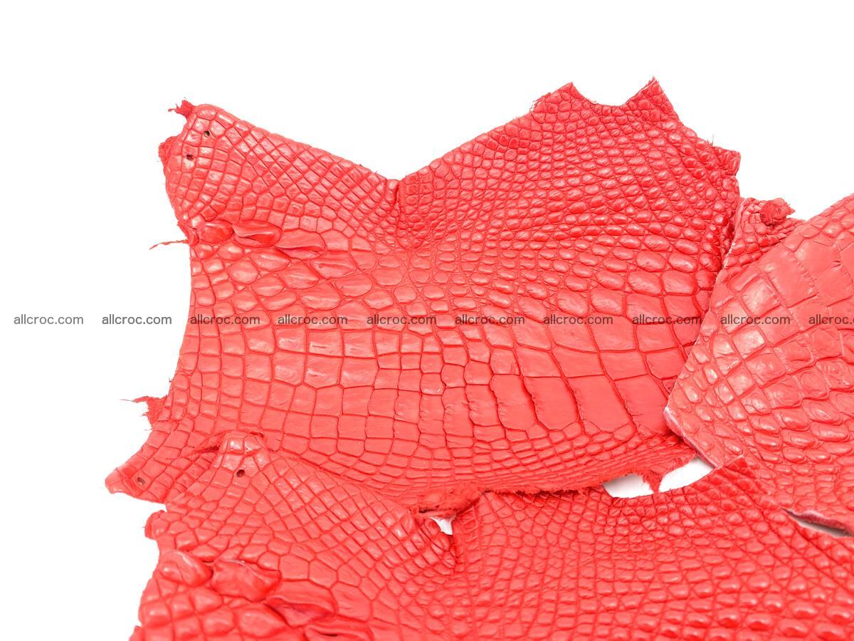 Crocodile leather for handcrafting  837 Foto 4
