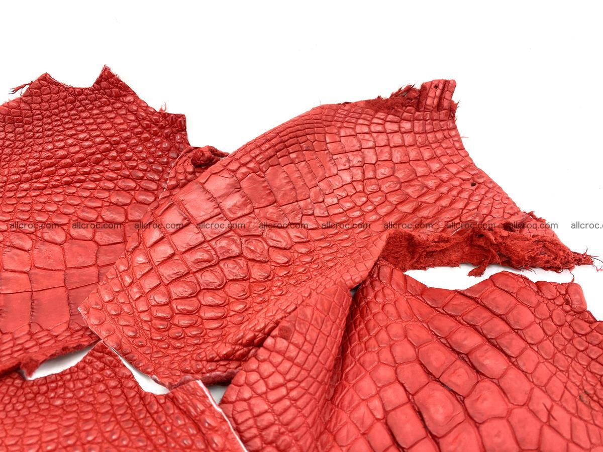 Crocodile leather for handcrafting  837 Foto 1