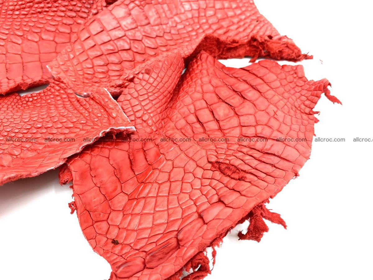 Crocodile leather for handcrafting  837 Foto 2