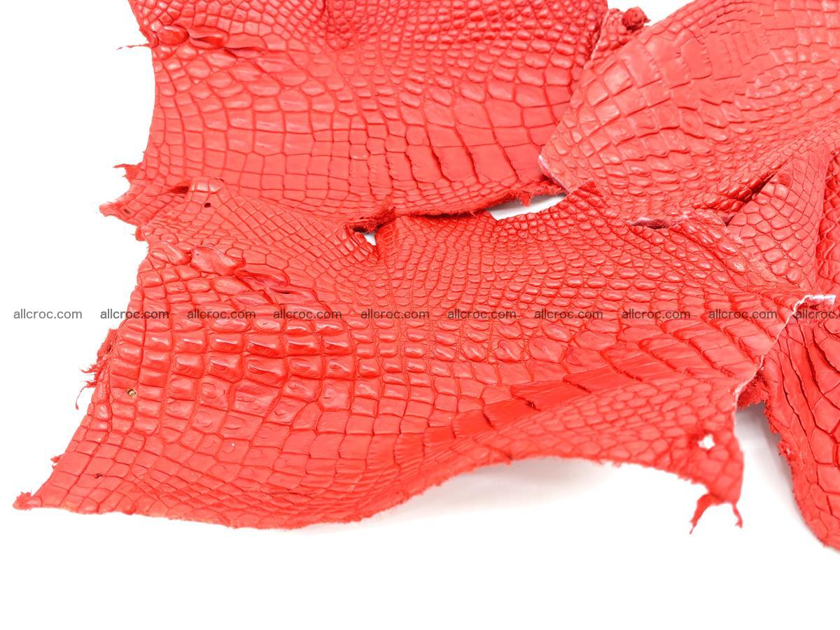 Crocodile leather for handcrafting  837 Foto 3