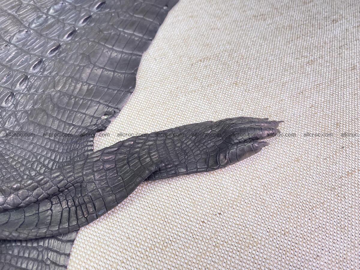 Crocodile leather back part with head and paws 27cm black color 1550 Foto 9