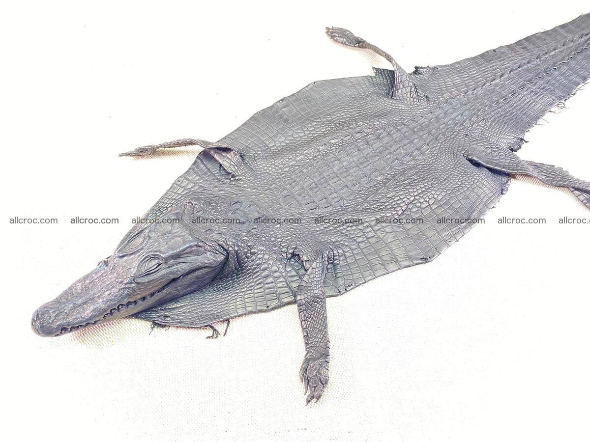 Crocodile leather back part with head and paws 22cm black color 1551 Foto 1