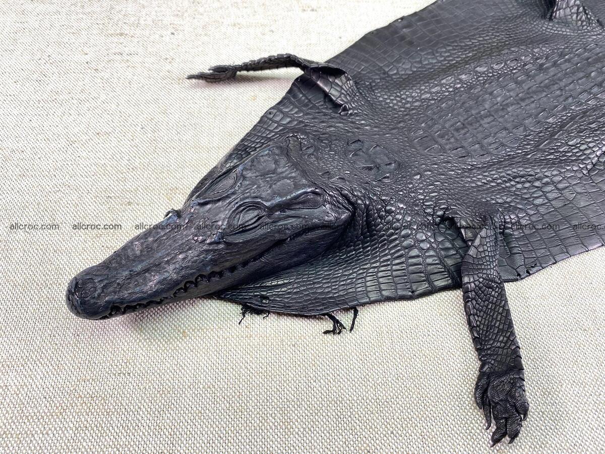 Crocodile leather back part with head and paws 22cm black color 1551 Foto 0