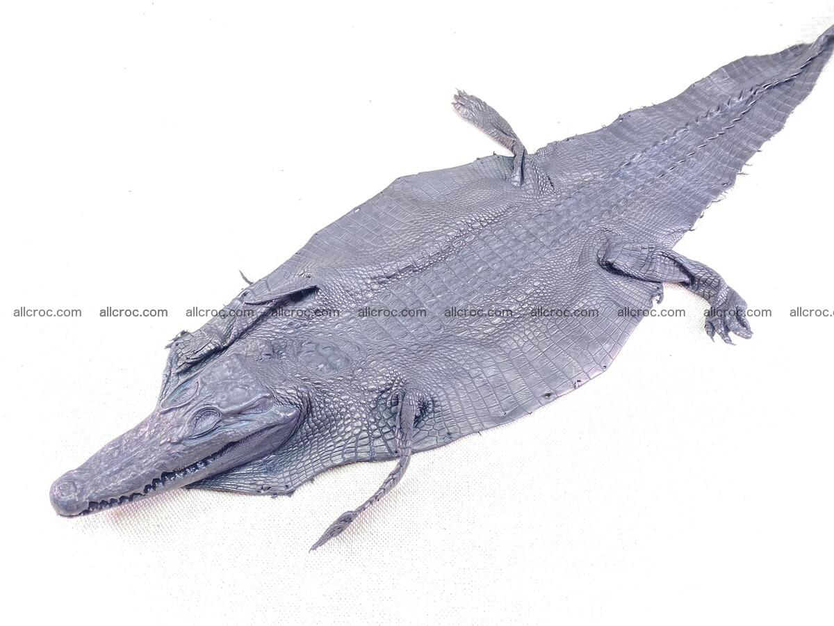 Crocodile leather back part with head and paws 21cm black color 1553 Foto 1