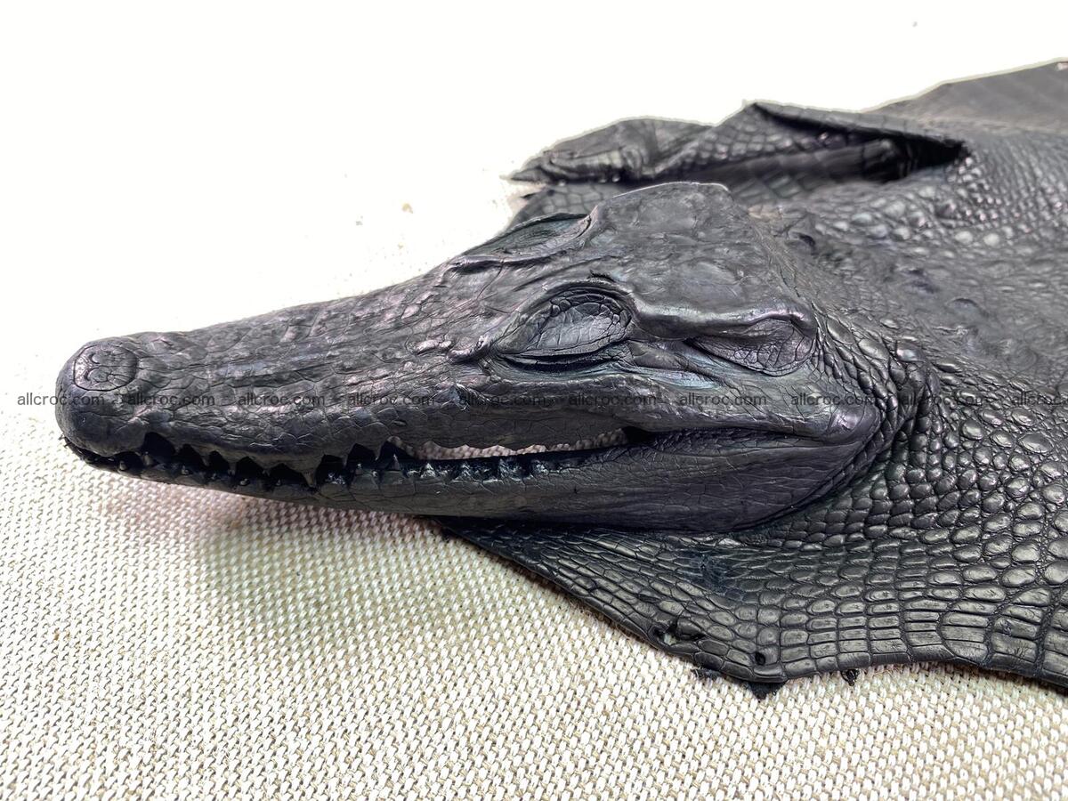 Crocodile leather back part with head and paws 21cm black color 1553 Foto 2