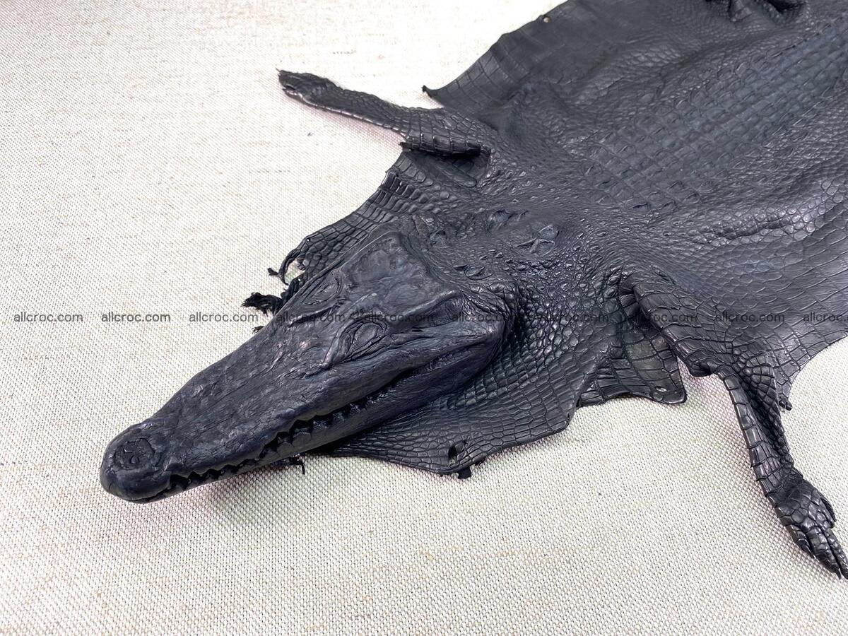 Crocodile leather back part with head and paws 28cm black color 1547 Foto 1