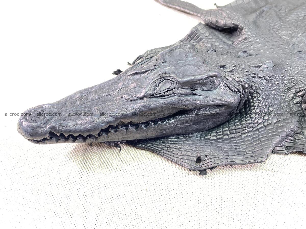 Crocodile leather back part with head and paws 28cm black color 1547 Foto 10