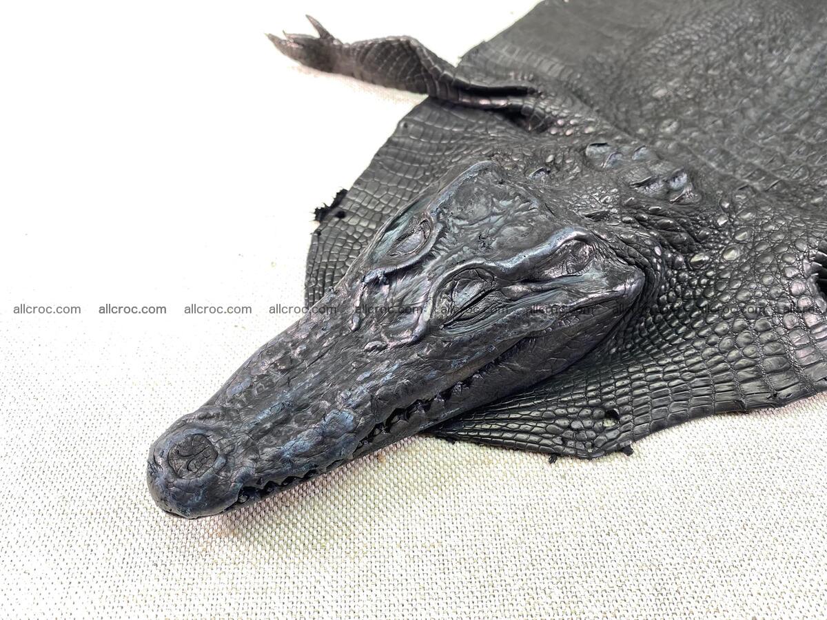 Crocodile leather back part with head and paws 27cm black color 1550 Foto 1
