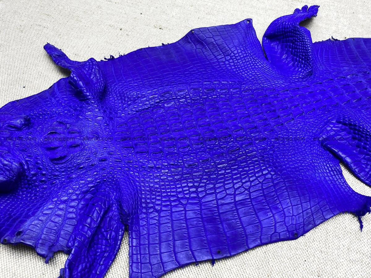 Crocodile leather back part with head and paws 26cm blue color 1565 Foto 7