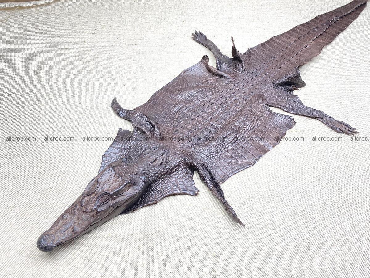 Crocodile leather back part with head and paws 30cm brown color 1572 Foto 0