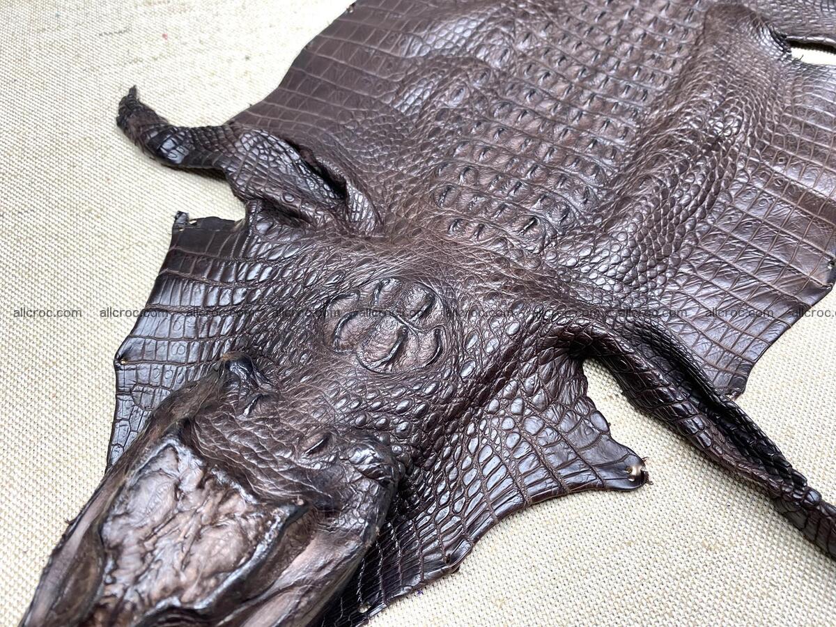 Crocodile leather back part with head and paws 30cm brown color 1572 Foto 2