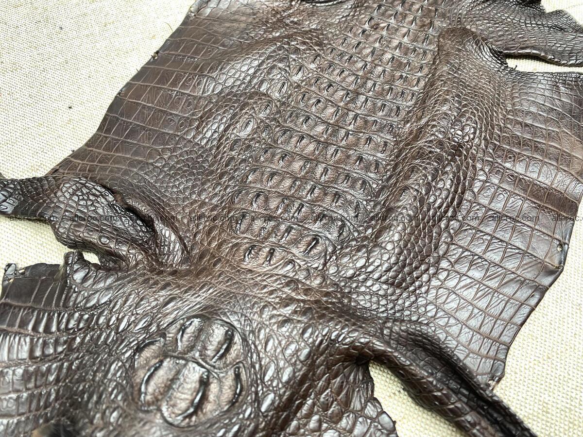 Crocodile leather back part with head and paws 30cm brown color 1572 Foto 3