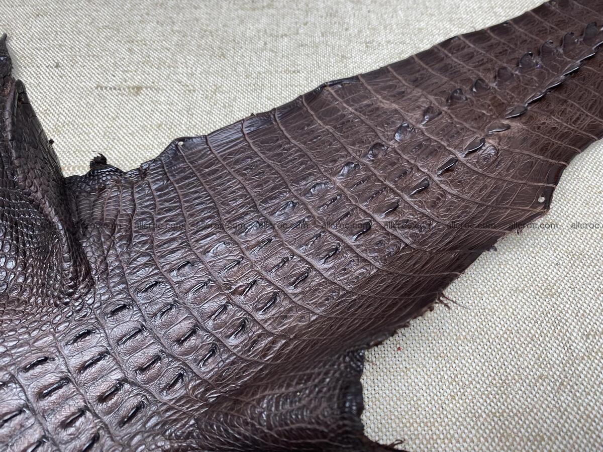 Crocodile leather back part with head and paws 30cm brown color 1572 Foto 6