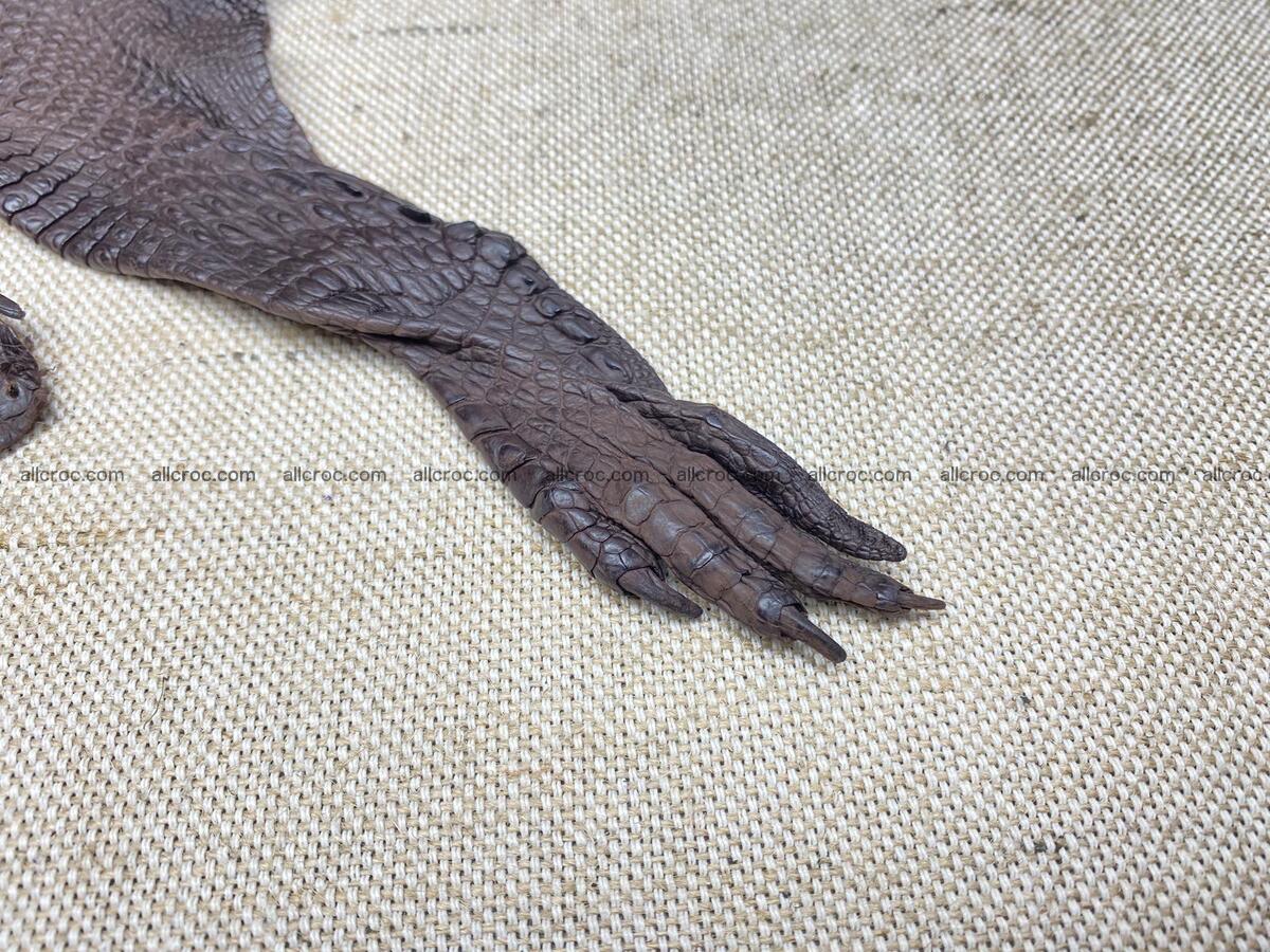 Crocodile leather back part with head and paws 30cm brown color 1572 Foto 10