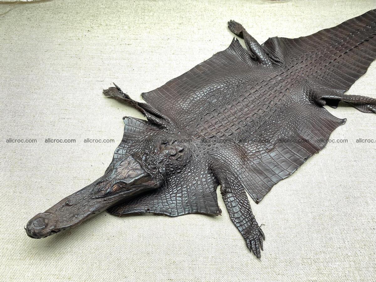 Crocodile leather back part with head and paws 31cm dark brown color 1570 Foto 0