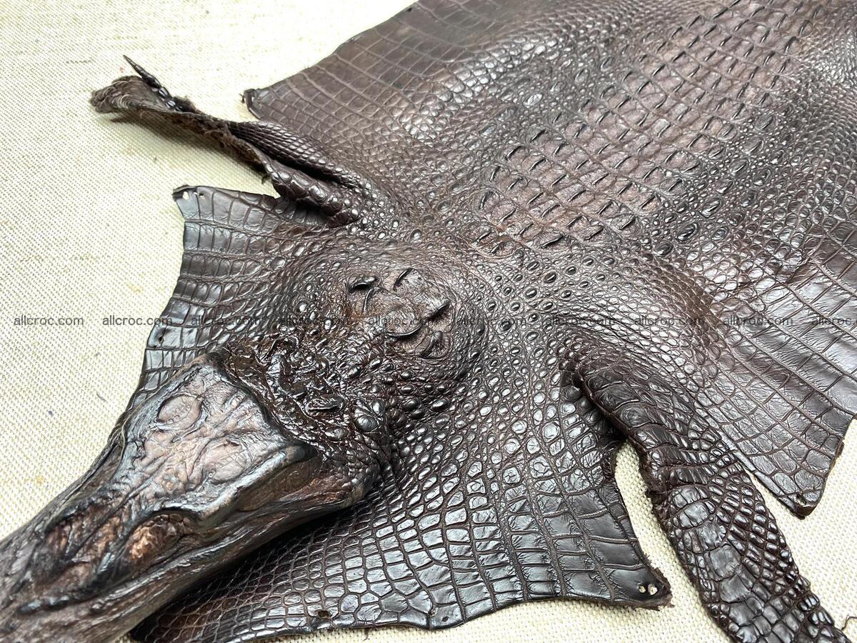 Crocodile leather back part with head and paws 31cm dark brown color 1570 Foto 1
