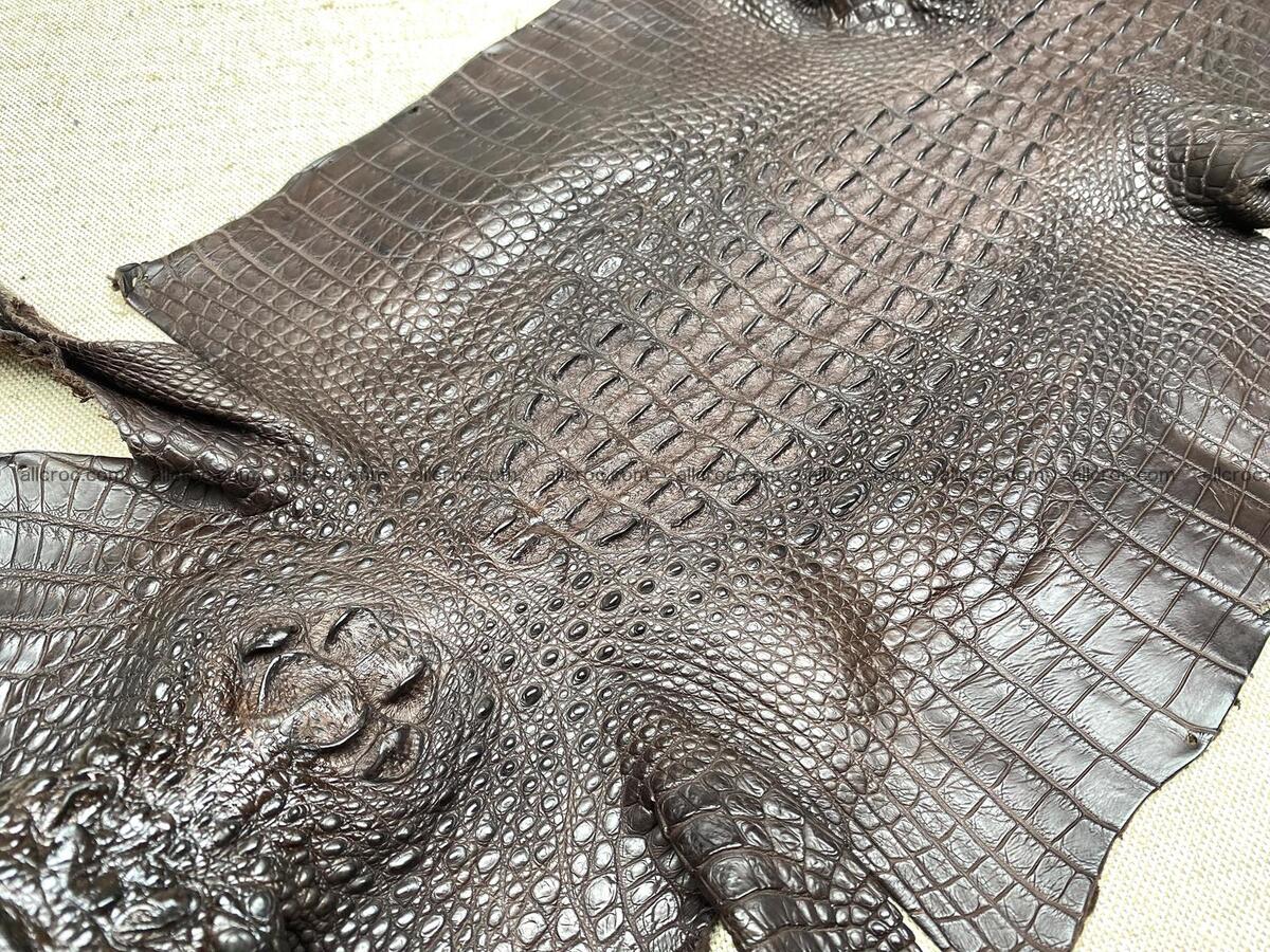 Crocodile leather back part with head and paws 31cm dark brown color 1570 Foto 2