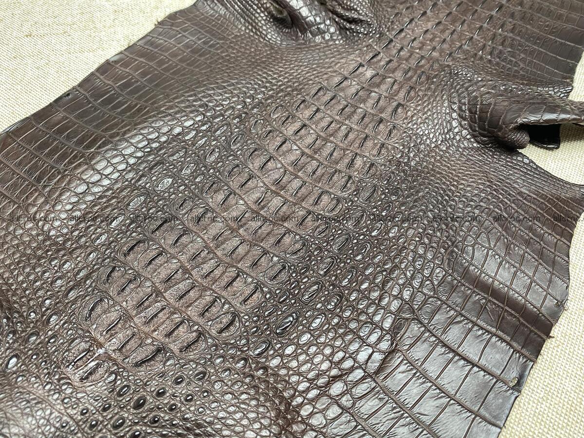 Crocodile leather back part with head and paws 31cm dark brown color 1570 Foto 3