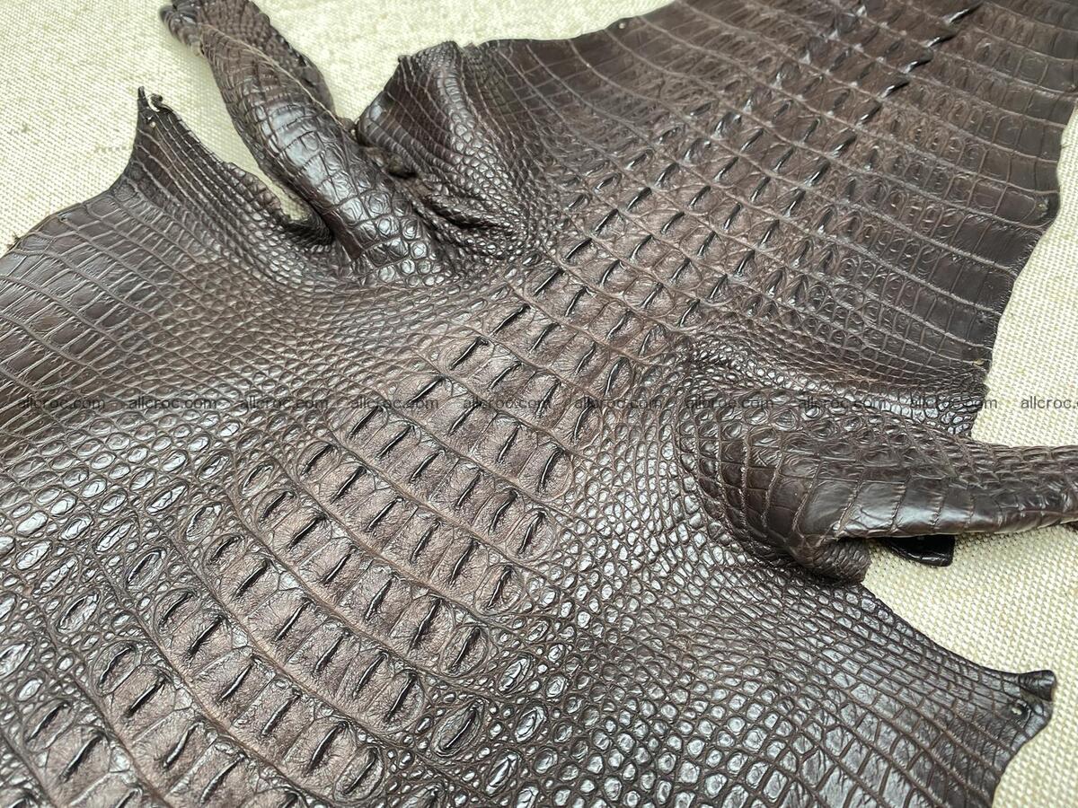 Crocodile leather back part with head and paws 31cm dark brown color 1570 Foto 4
