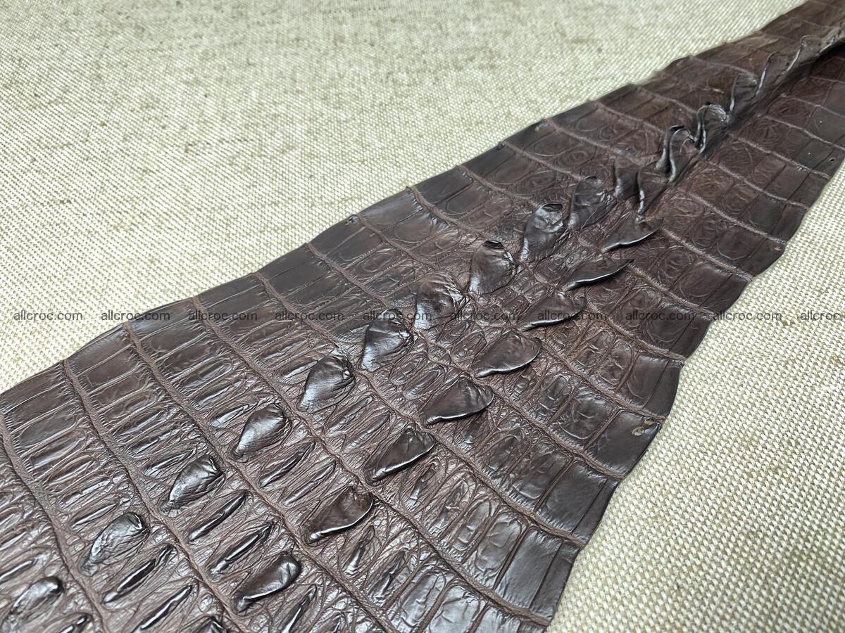 Crocodile leather back part with head and paws 31cm dark brown color 1570 Foto 6