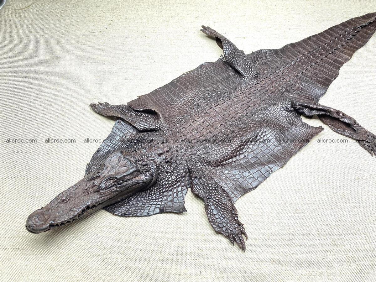 Crocodile leather back part with head and paws 30cm dark brown color 1571 Foto 0