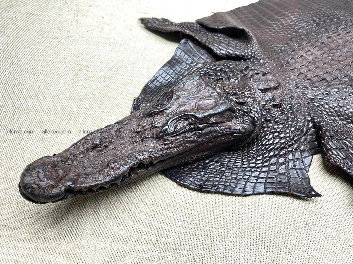 Crocodile leather back part with head and paws 30cm dark brown color 1571 Foto 1