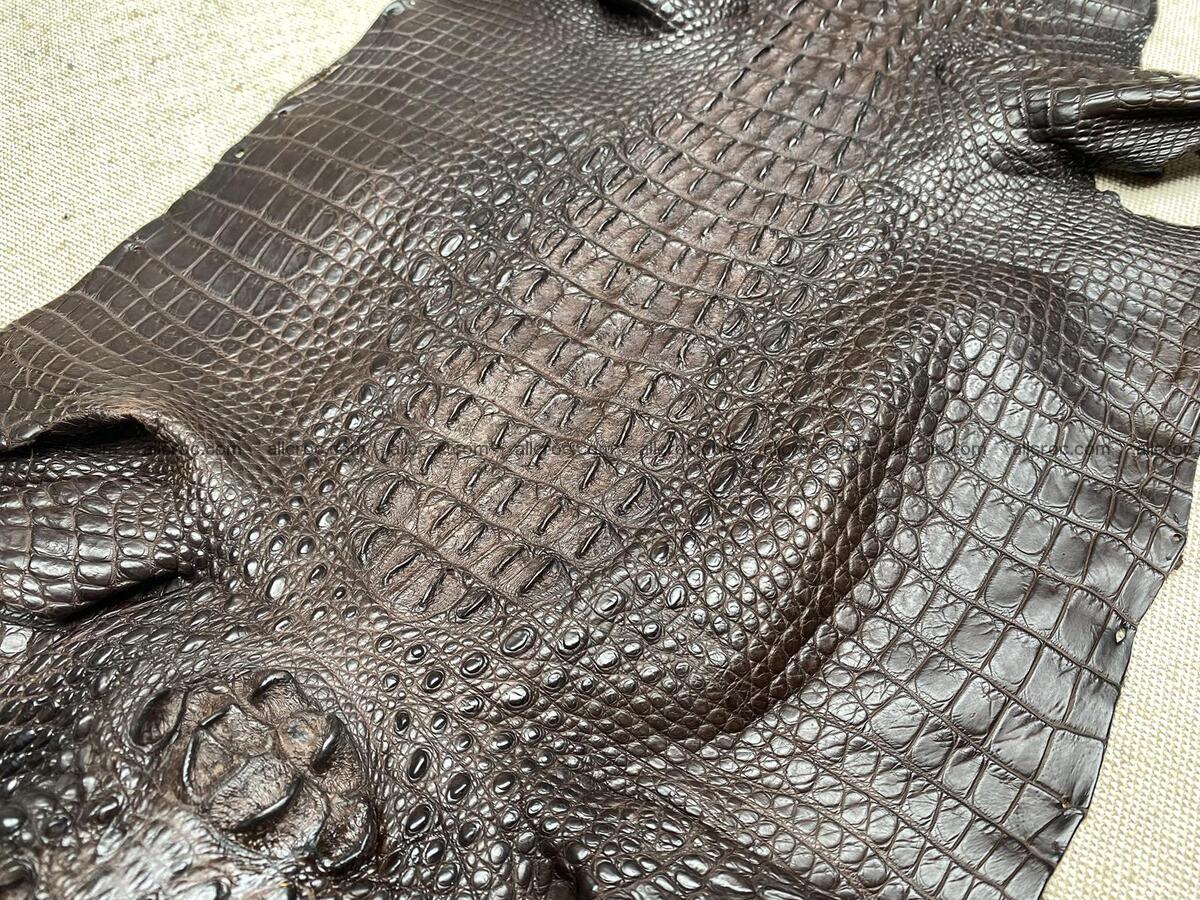 Crocodile leather back part with head and paws 30cm dark brown color 1571 Foto 3