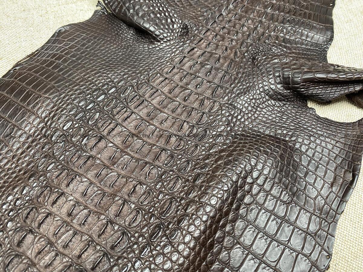 Crocodile leather back part with head and paws 30cm dark brown color 1571 Foto 4