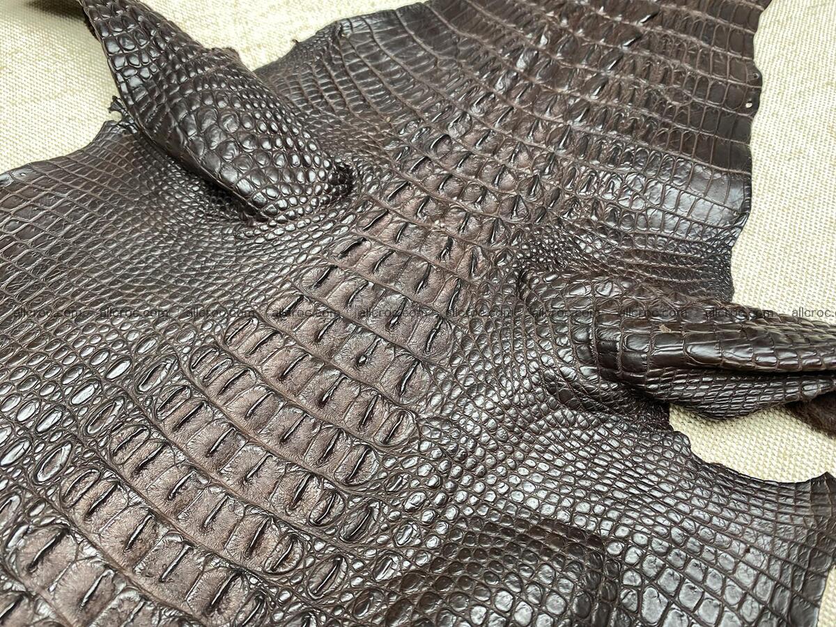Crocodile leather back part with head and paws 30cm dark brown color 1571 Foto 12
