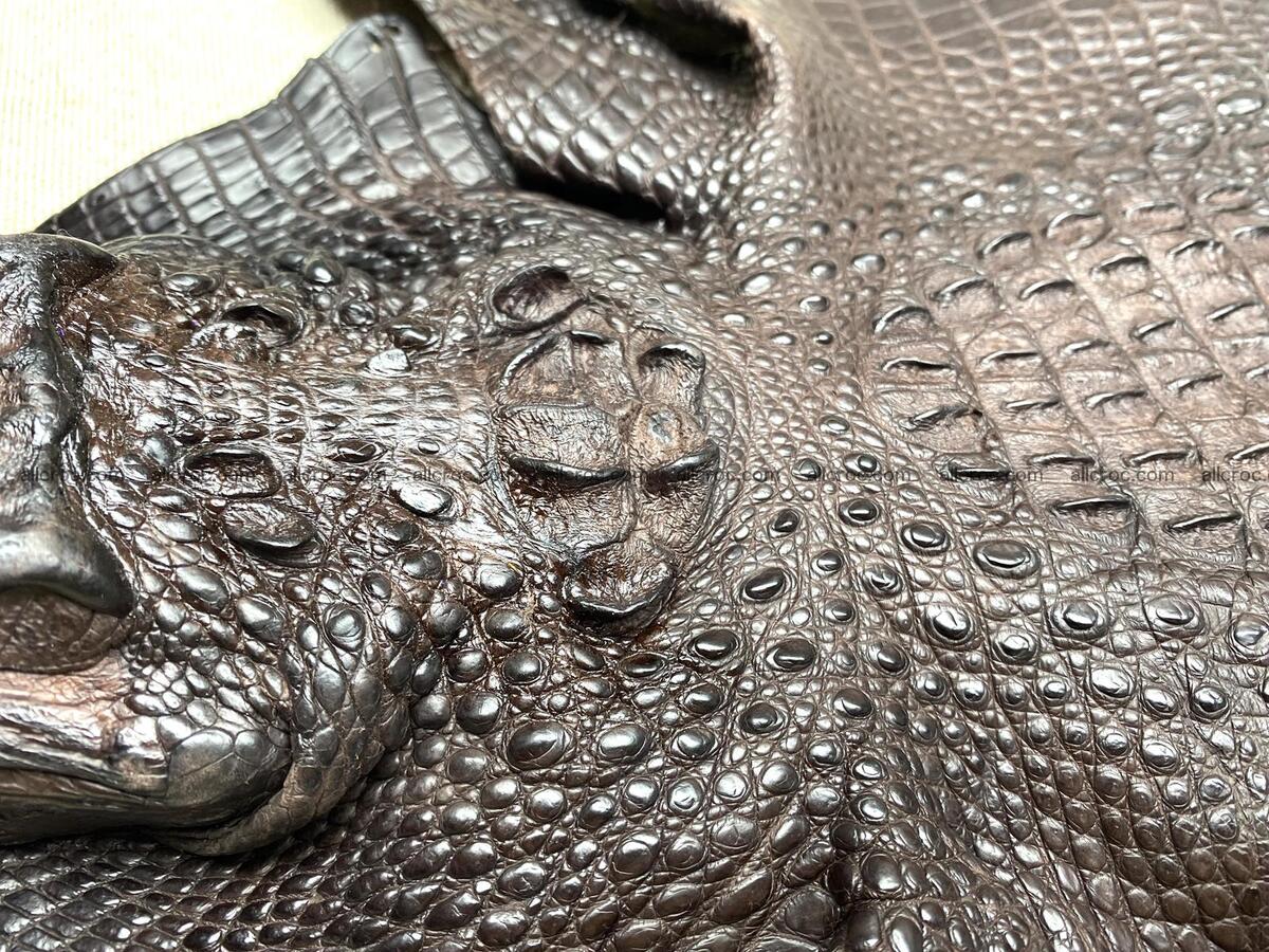 Crocodile leather back part with head and paws 30cm dark brown color 1571 Foto 5