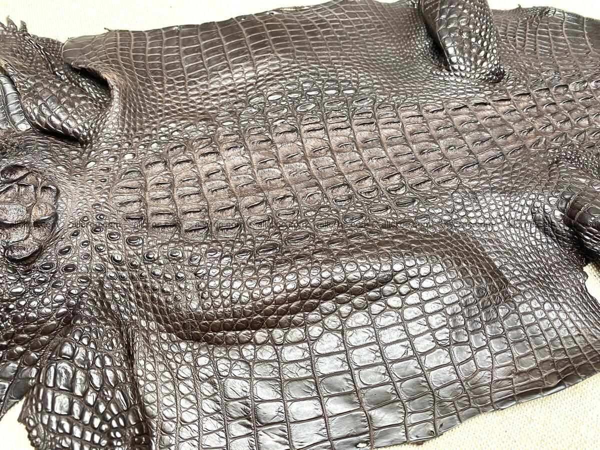 Crocodile leather back part with head and paws 30cm dark brown color 1571 Foto 6