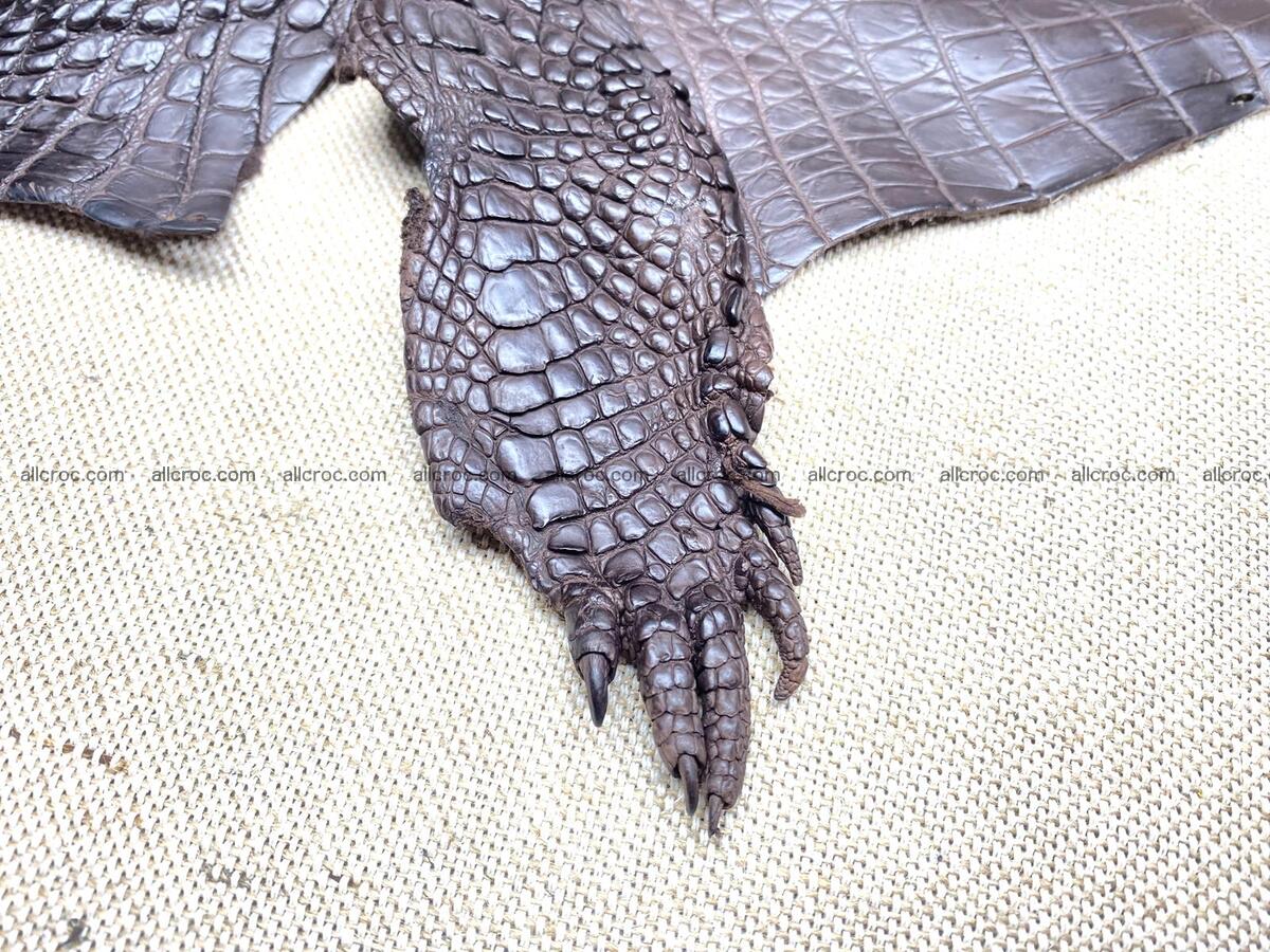 Crocodile leather back part with head and paws 30cm dark brown color 1571 Foto 7