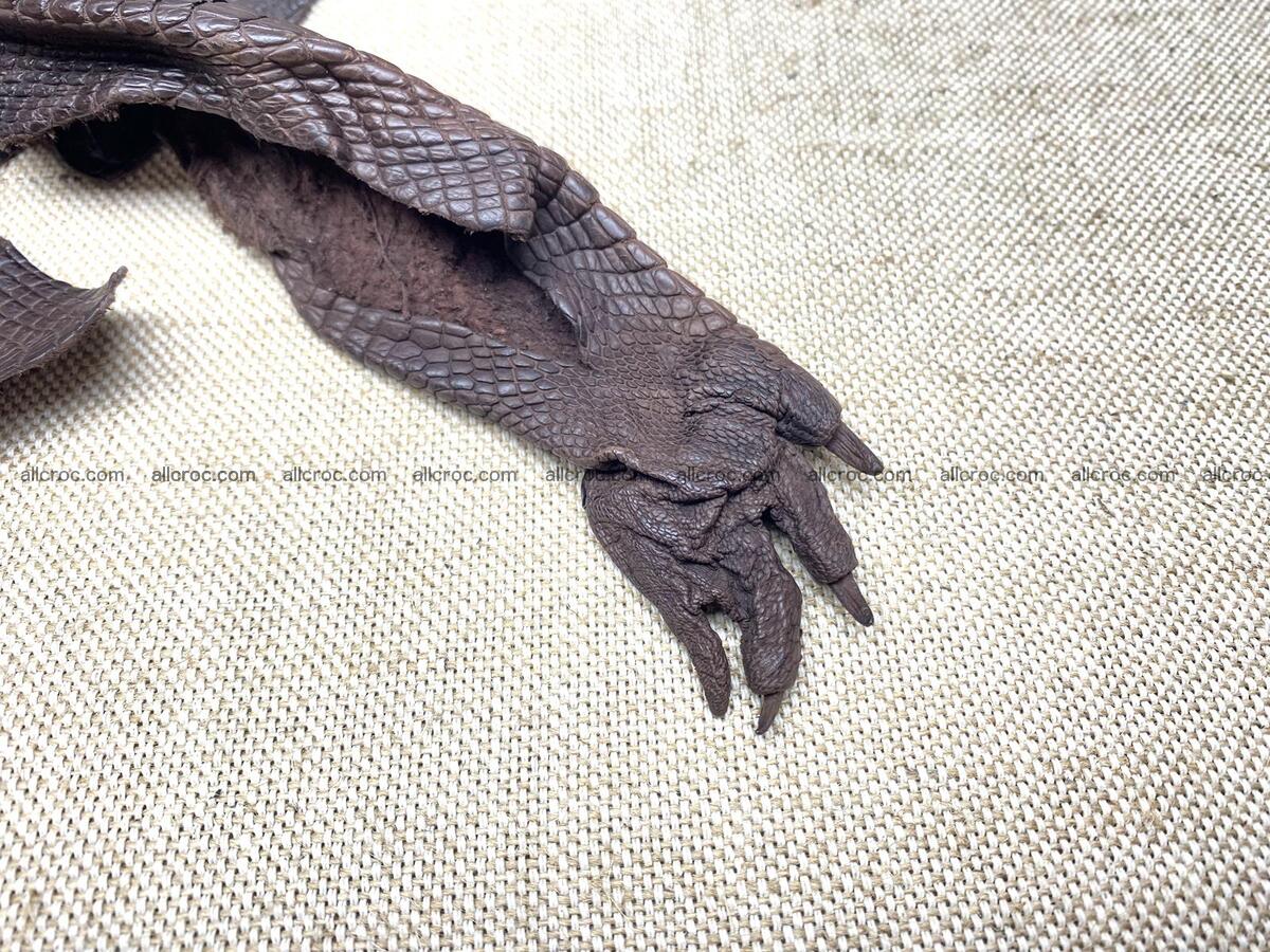Crocodile leather back part with head and paws 30cm dark brown color 1571 Foto 8