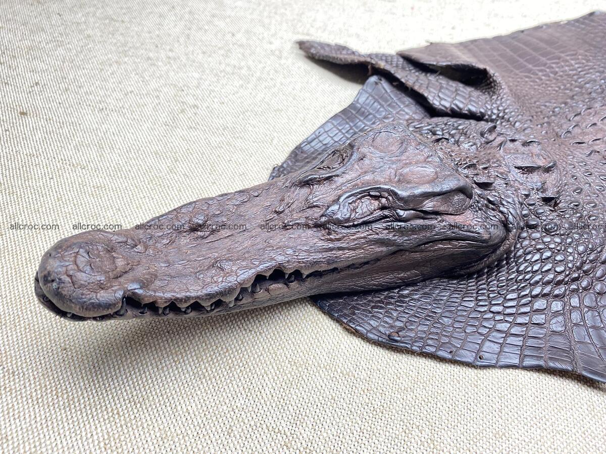 Crocodile leather back part with head and paws 30cm dark brown color 1571 Foto 9