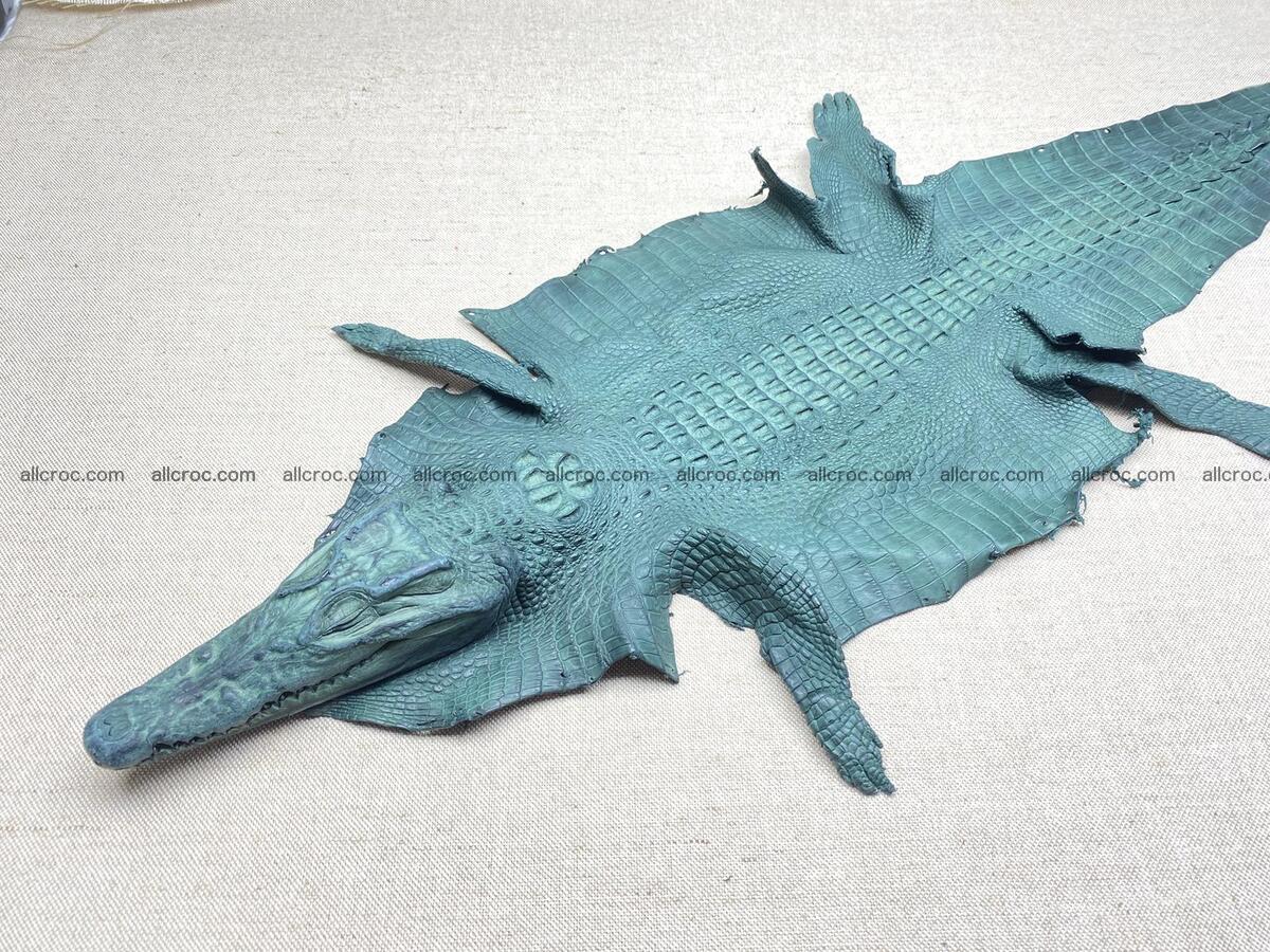 Crocodile leather back part with head and paws 31cm dark green color 1569 Foto 0