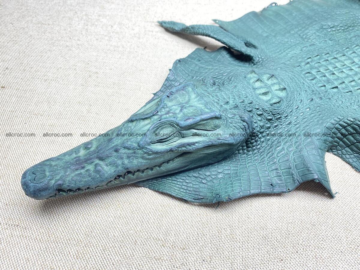 Crocodile leather back part with head and paws 31cm dark green color 1569 Foto 1