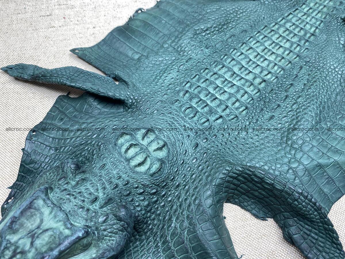 Crocodile leather back part with head and paws 31cm dark green color 1569 Foto 2