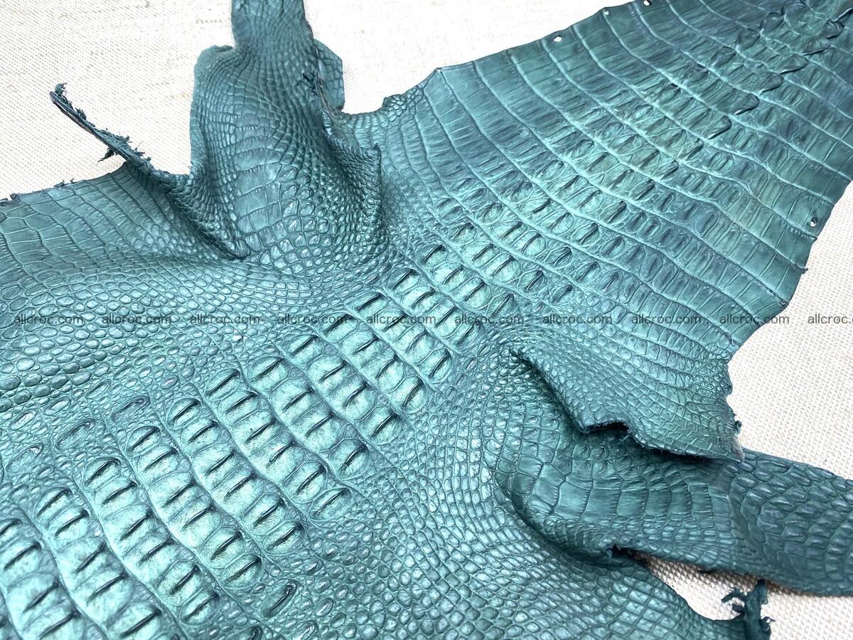 Crocodile leather back part with head and paws 31cm dark green color 1569 Foto 5