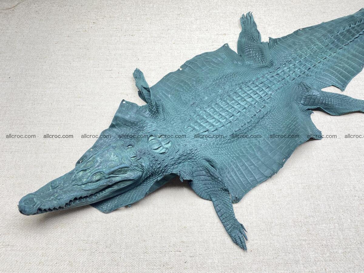 Crocodile leather back part with head and paws 32cm deep green color 1568 Foto 0