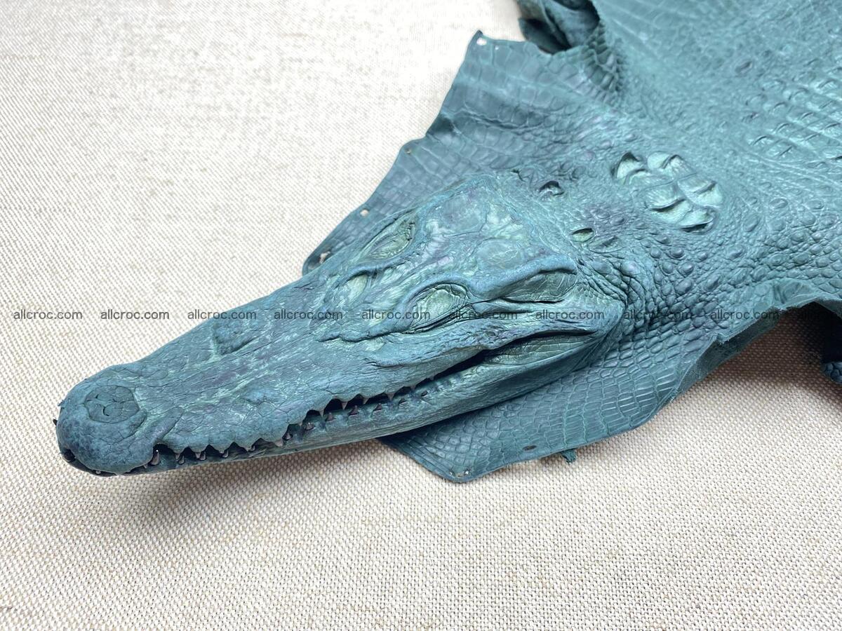 Crocodile leather back part with head and paws 32cm deep green color 1568 Foto 1