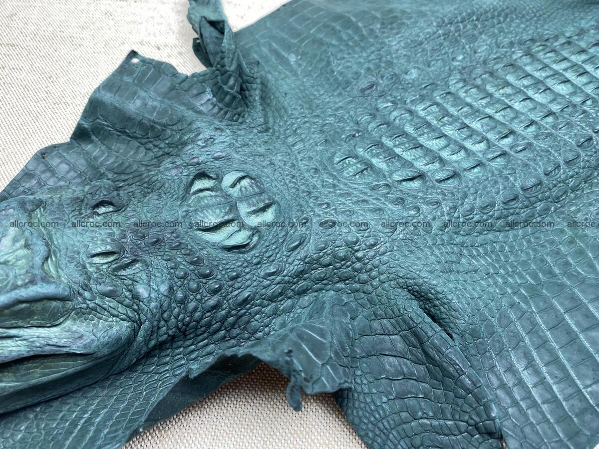 Crocodile leather back part with head and paws 32cm deep green color 1568 Foto 2