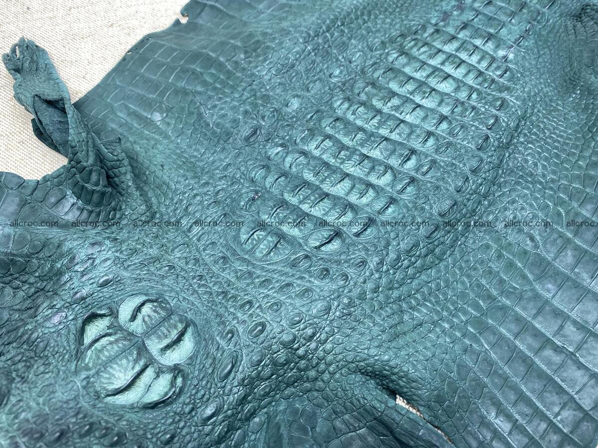 Crocodile leather back part with head and paws 32cm deep green color 1568 Foto 3