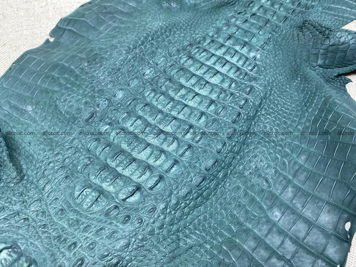 Crocodile leather back part with head and paws 32cm deep green color 1568 Foto 4