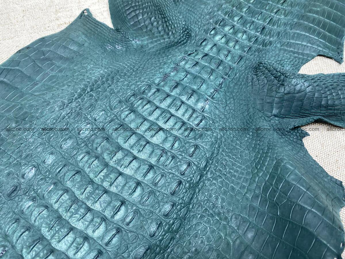 Crocodile leather back part with head and paws 32cm deep green color 1568 Foto 5