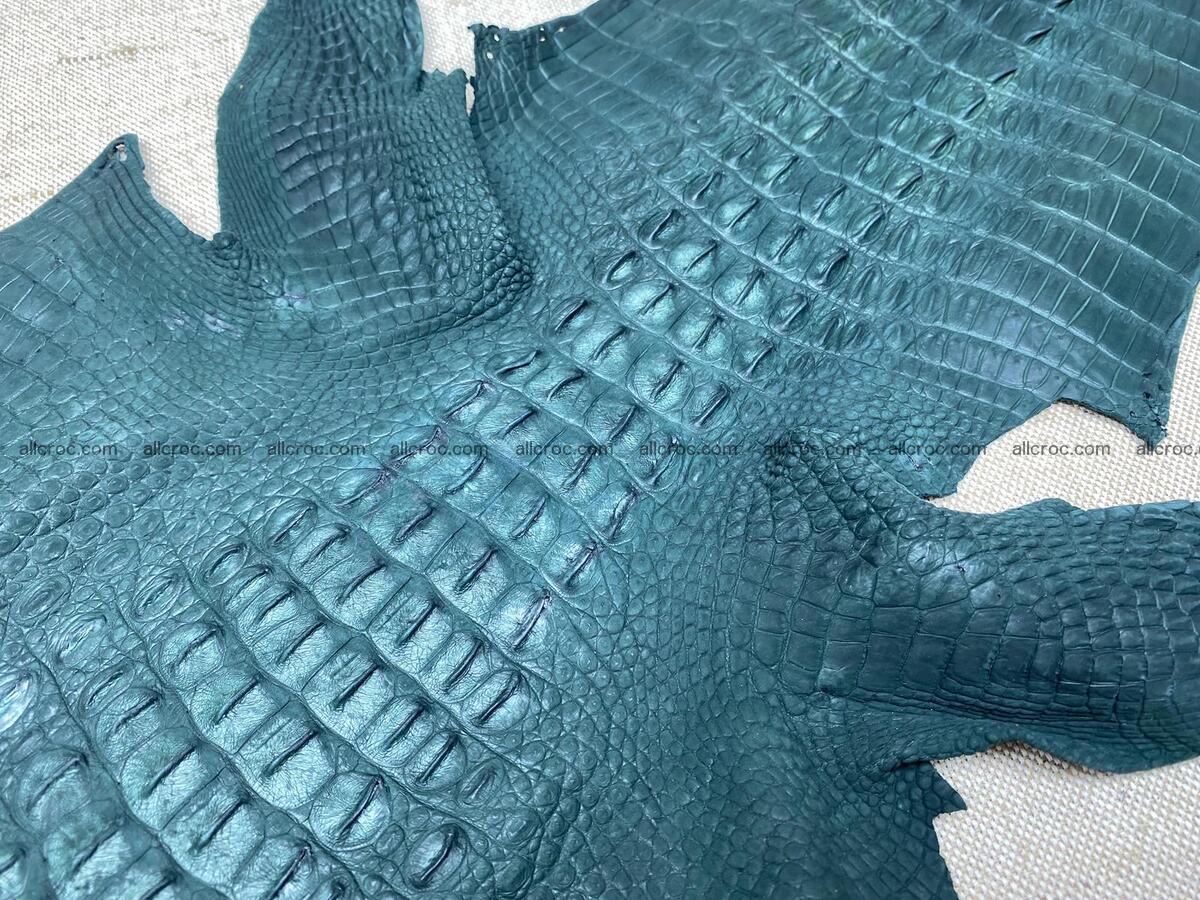 Crocodile leather back part with head and paws 32cm deep green color 1568 Foto 6