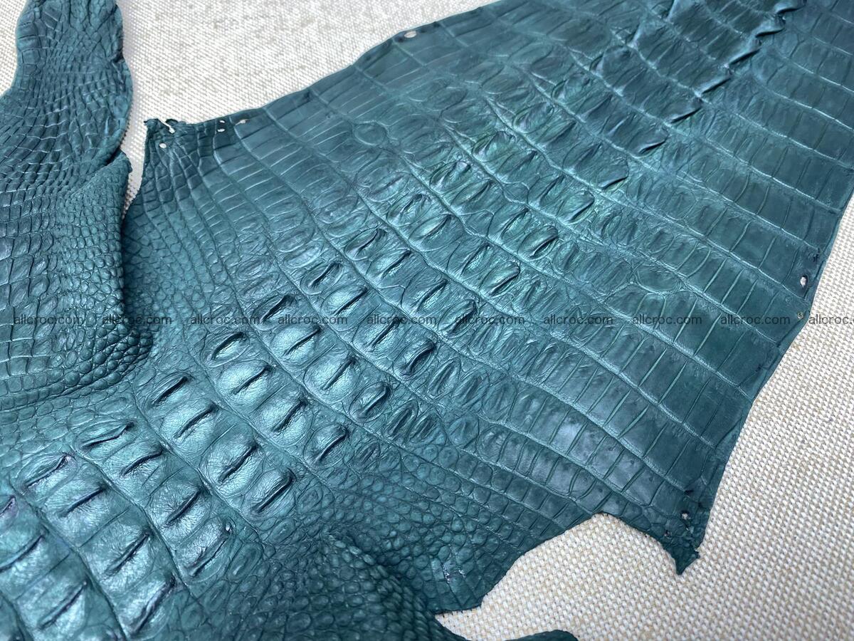 Crocodile leather back part with head and paws 32cm deep green color 1568 Foto 7