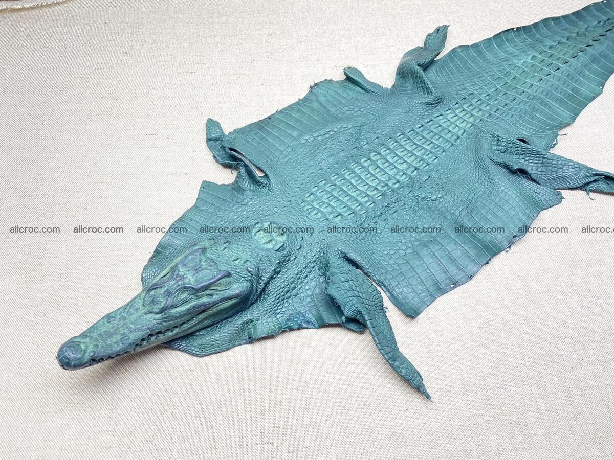 Crocodile leather back part with head and paws 34cm emerald color 1567 Foto 0