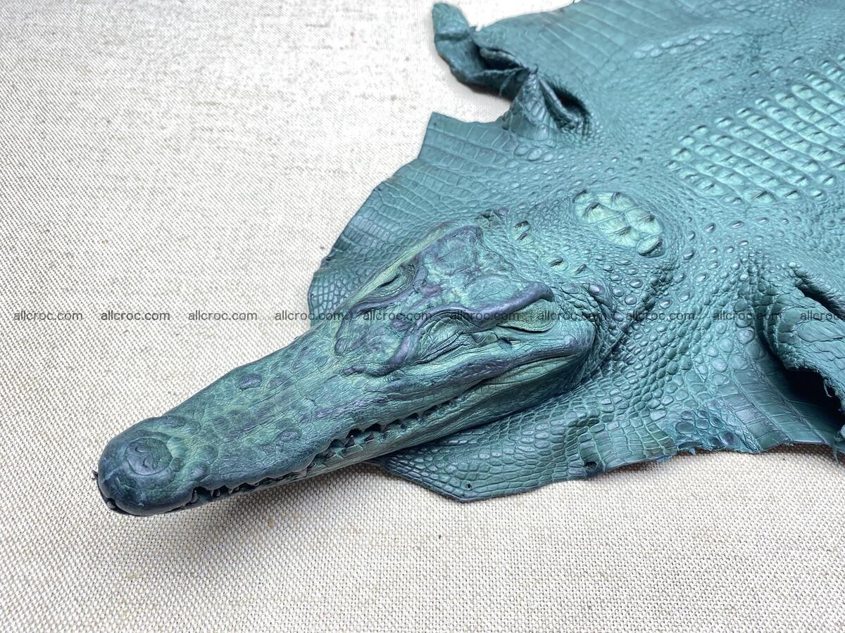 Crocodile leather back part with head and paws 34cm emerald color 1567 Foto 1