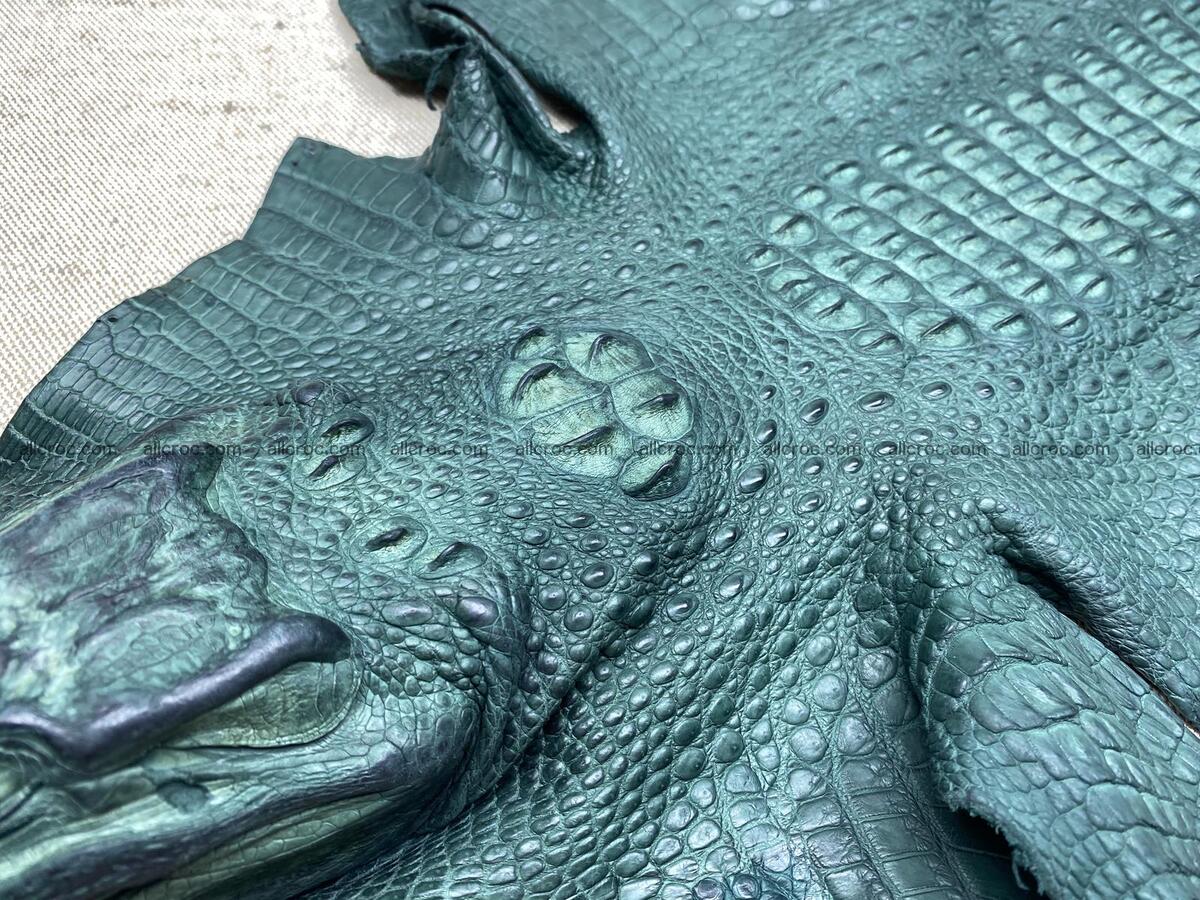 Crocodile leather back part with head and paws 34cm emerald color 1567 Foto 2