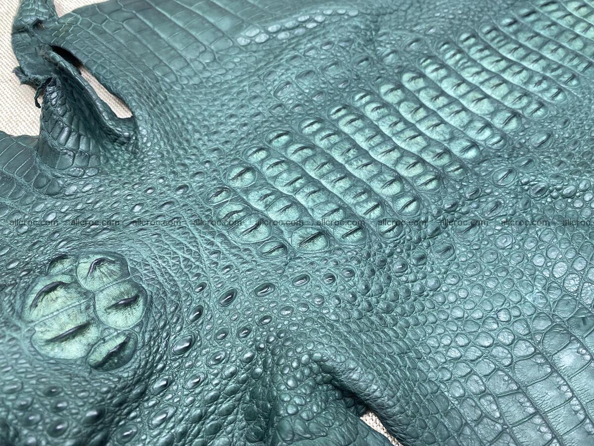 Crocodile leather back part with head and paws 34cm emerald color 1567 Foto 3